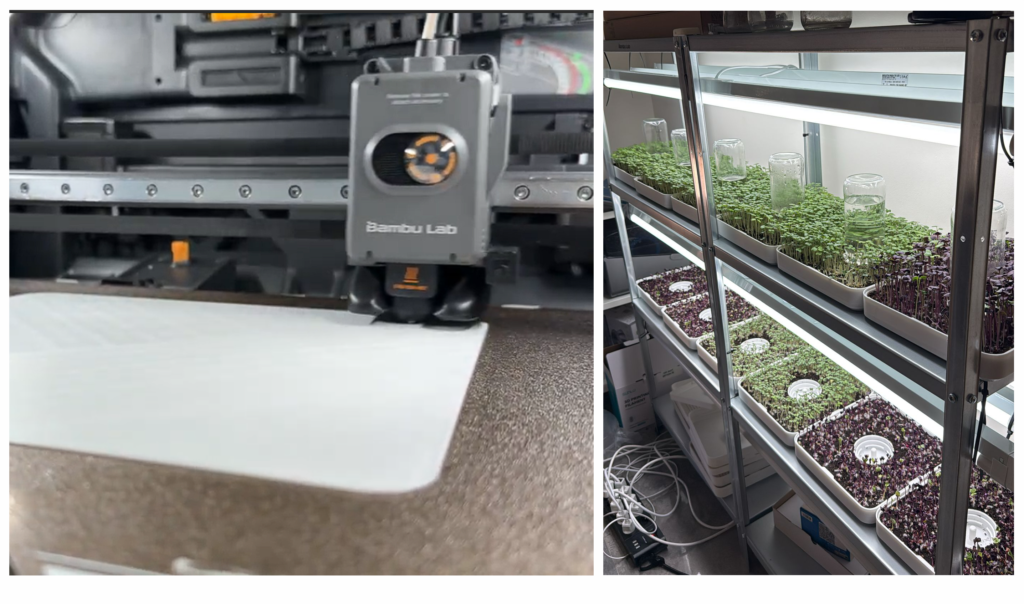 granja microgreen 2